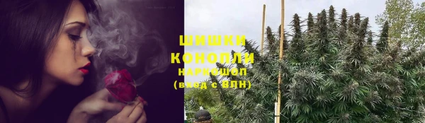 PSILOCYBIN Бородино