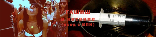 PSILOCYBIN Бородино