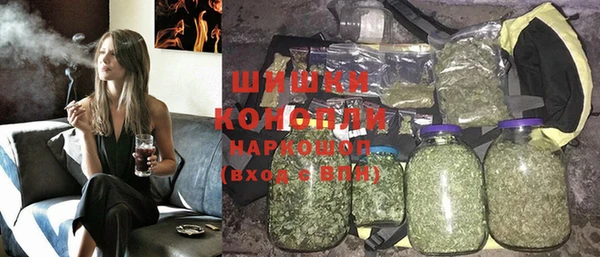 PSILOCYBIN Бородино