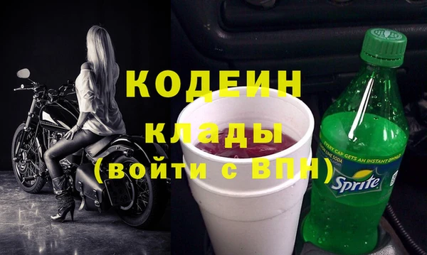 PSILOCYBIN Бородино