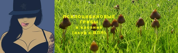 марки nbome Бугульма