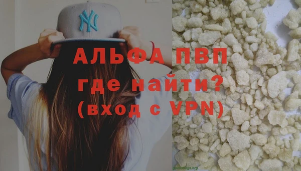 PSILOCYBIN Бородино